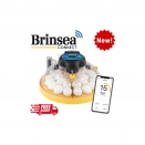 Brinsea Maxi 24 EX CONNECT Wifi Incubator